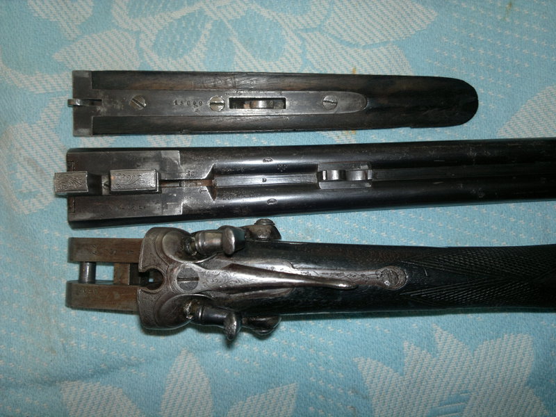 261724598.jpg