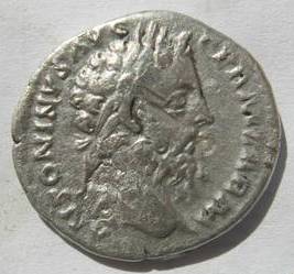 26188973.jpg