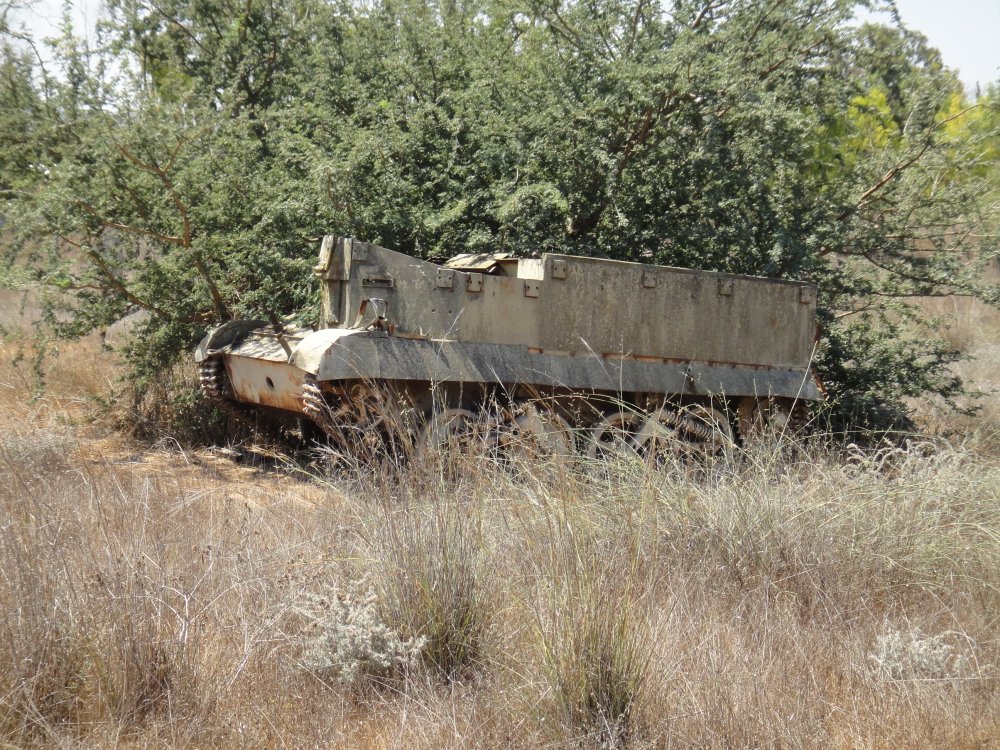 262.JPG