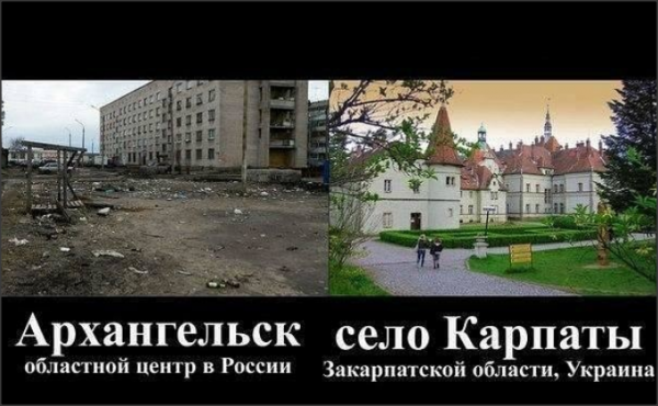 262248_600.png