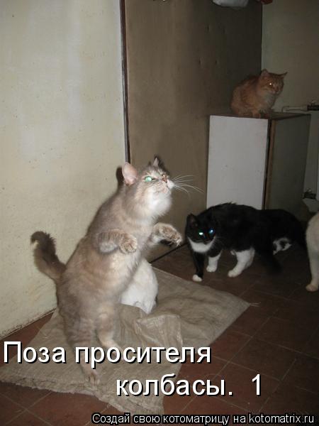 2654368.jpg