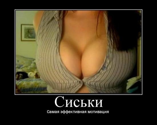 27019_3b754ee2_195792_24ce.jpeg