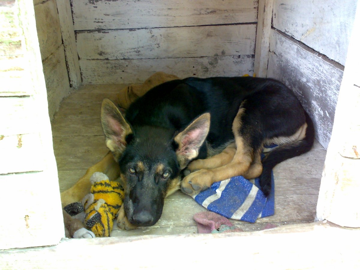 27062012246.jpg