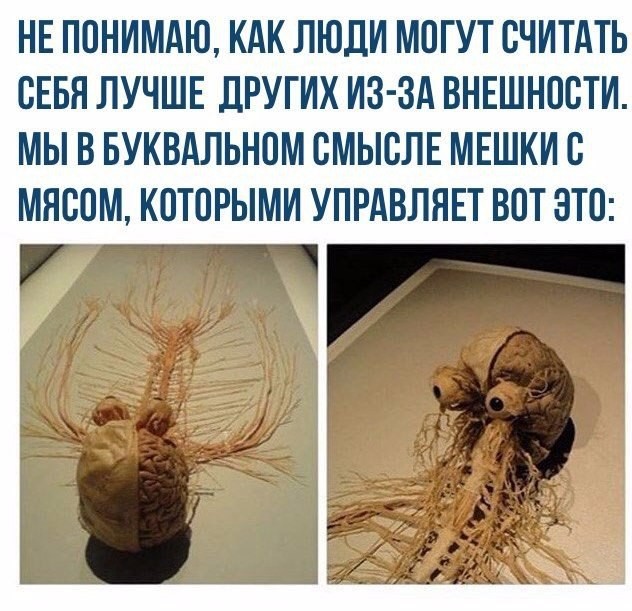 272603ED-1E08-4B4E-89C2-DCFAFB0778B9.jpeg