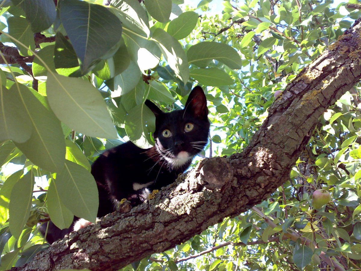 28062012253.jpg