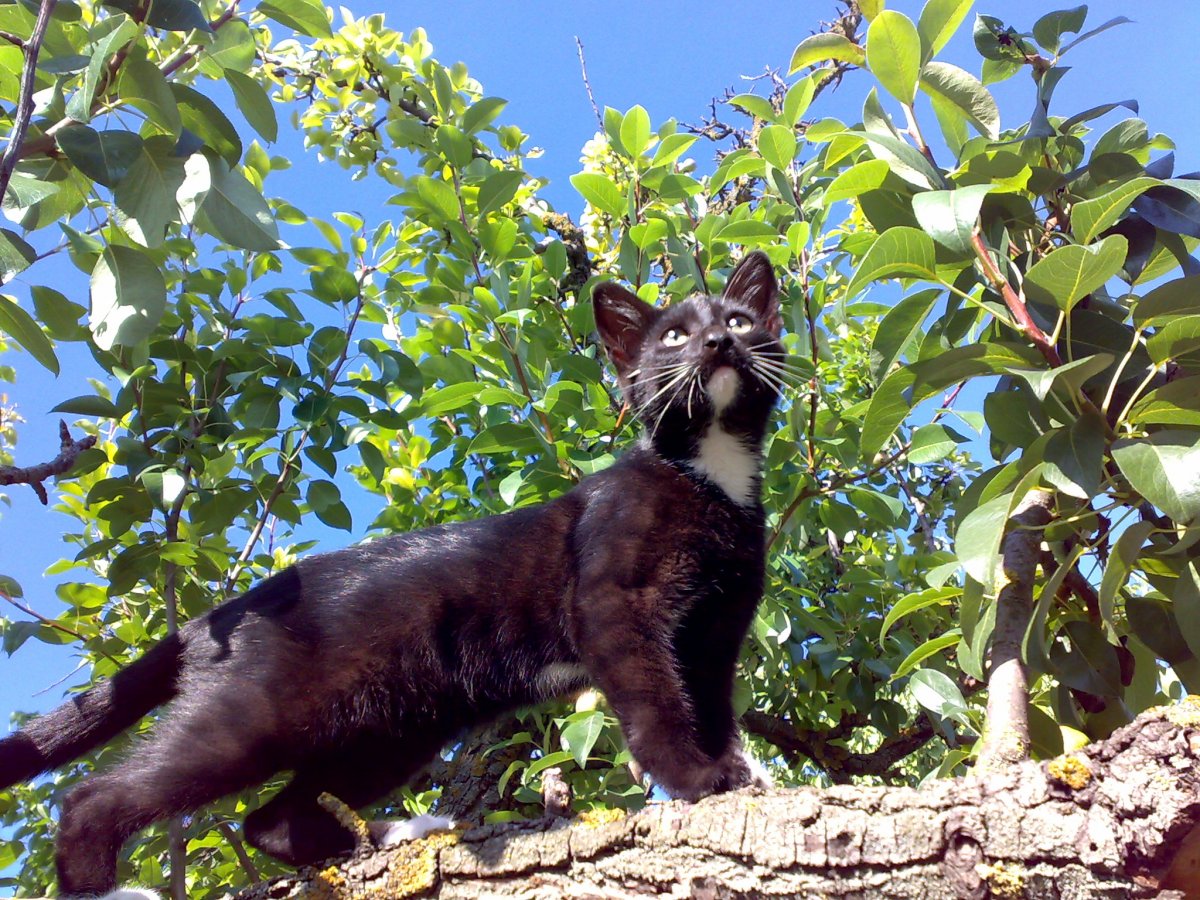 28062012254.jpg