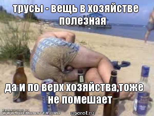2_mem03688dd.jpg