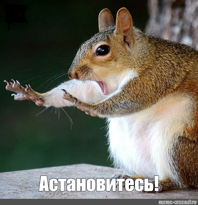 2d85b5d8844c45b99919406e2aee62be.jpg