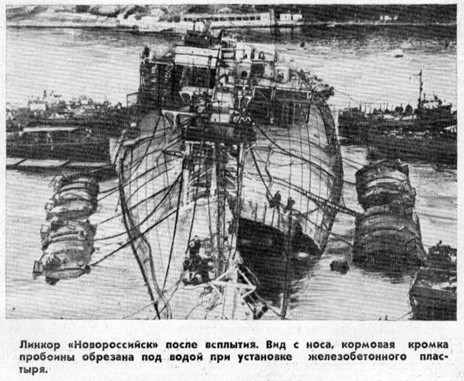 3(195).jpg