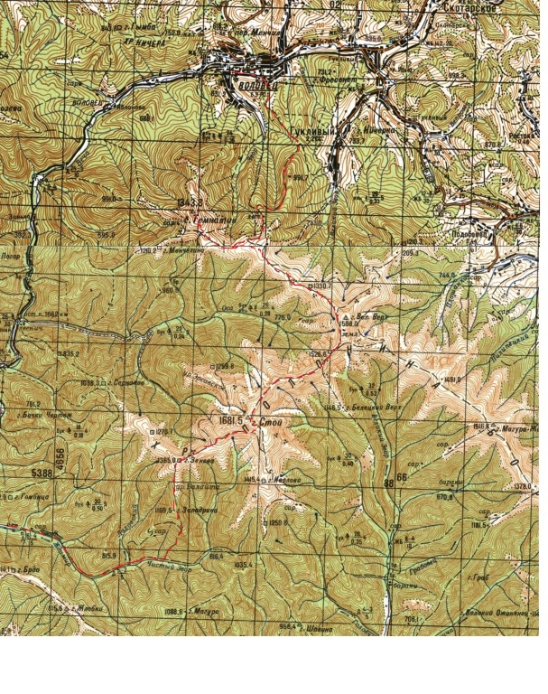 3025420.jpg