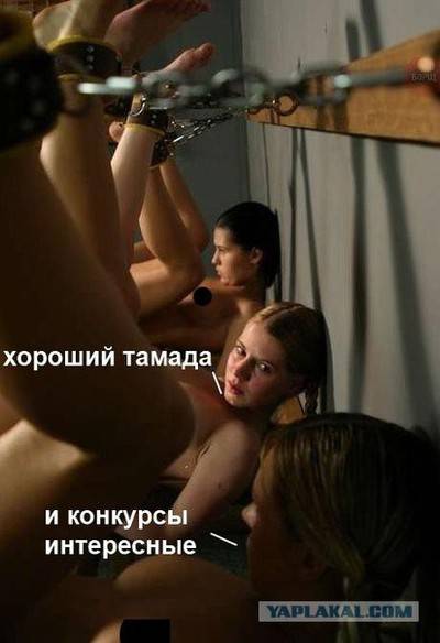 30fc629e7bc7ba0adcd856b23d879d4ab4211817.jpeg
