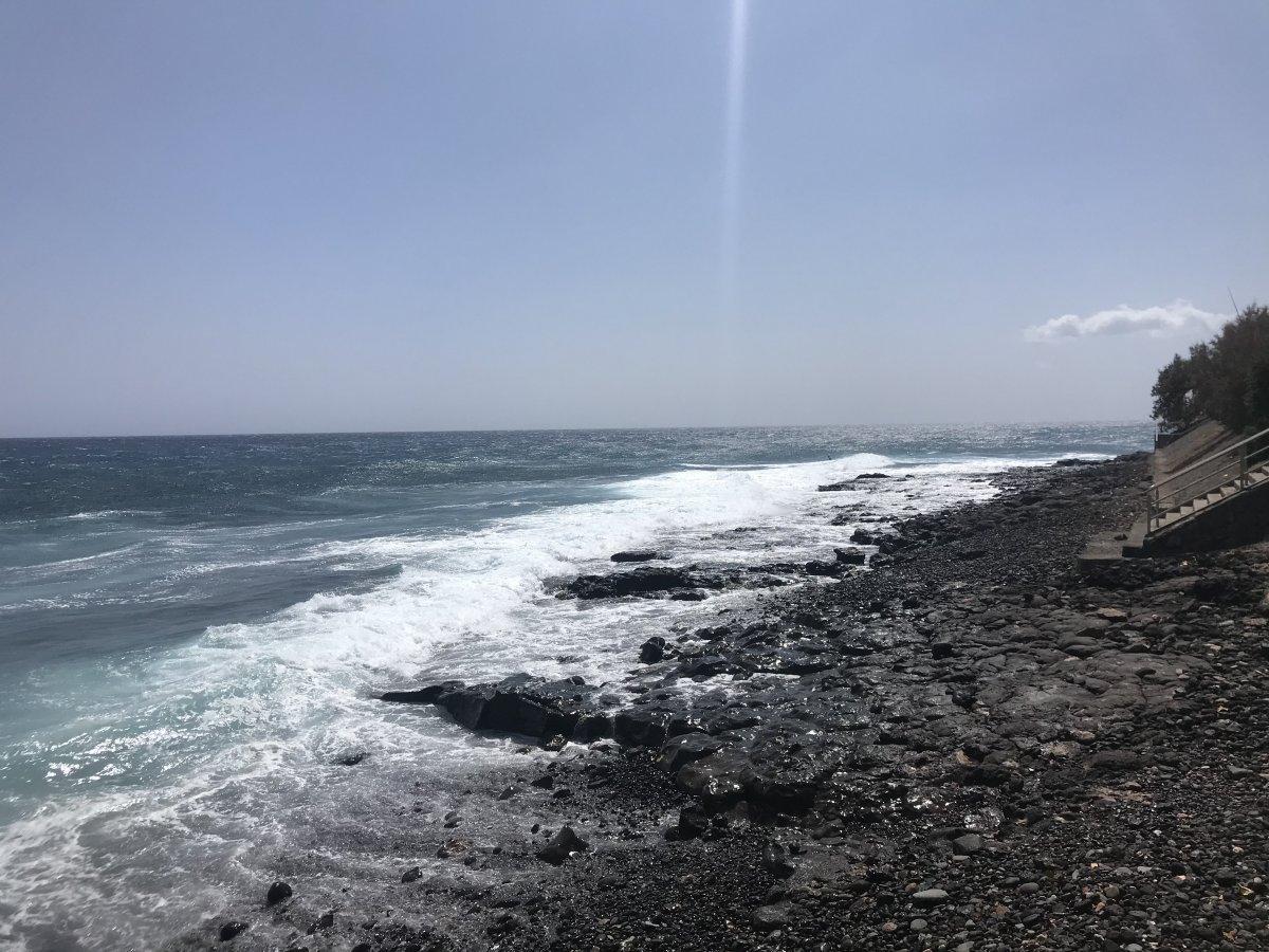310C48FF-27FF-4013-A1EA-6ECA82C6C465.jpeg
