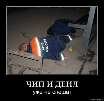 3212371.9561.jpeg