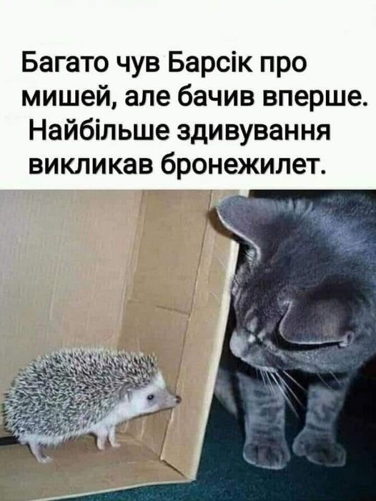 322077610_1871770269831704_6302112055425786516_n.jpg