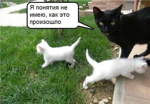 32424_b09177cc_221061.jpeg