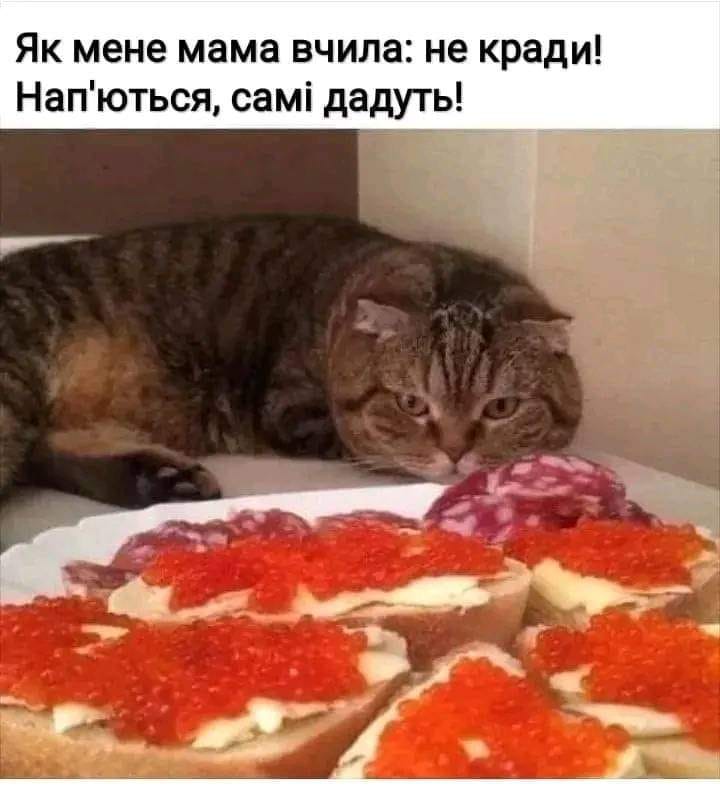 324432740_1351300842075810_1508444873208158910_n.jpg