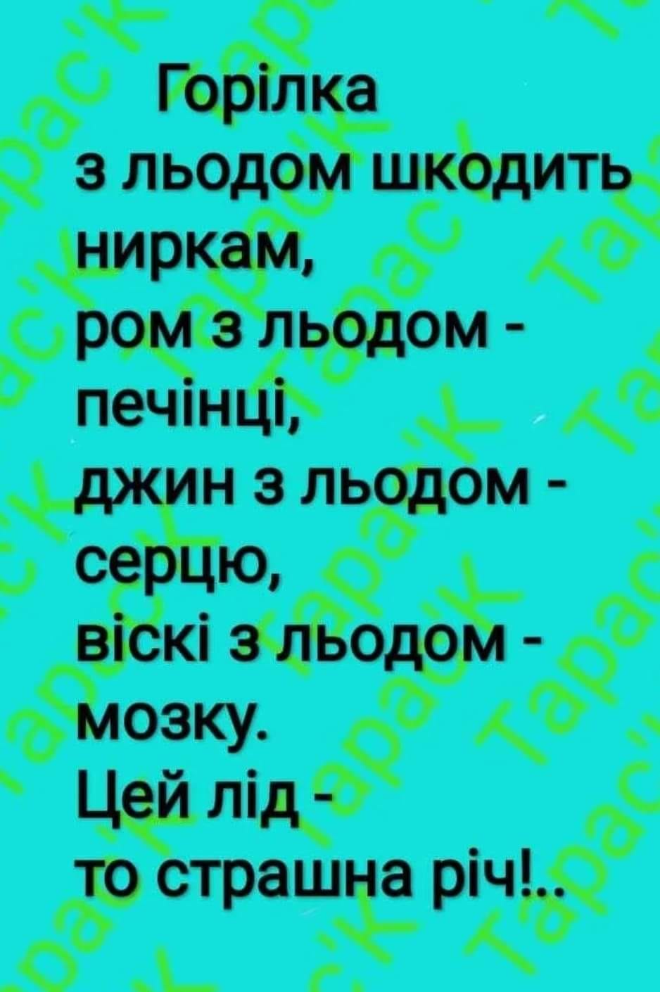 327552522_1443746296450907_6635681576194242691_n.jpg