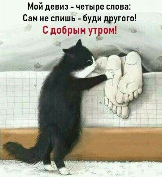 33a9a94182f8b802fcb709f6bcf63d2f.jpg