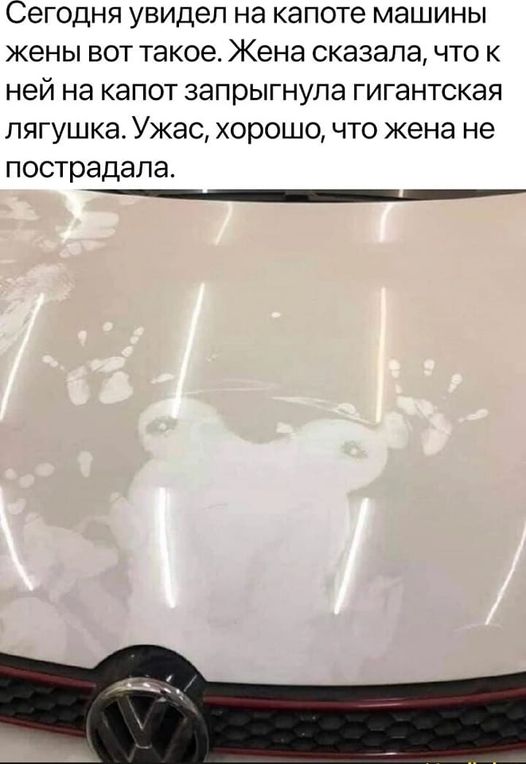 341182718_1899232257109654_6873475495735594112_n.jpg