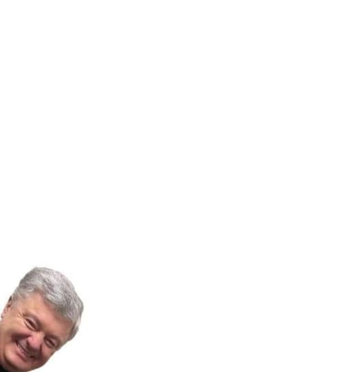 343294718_161719620174154_1958619205386645915_n.jpg