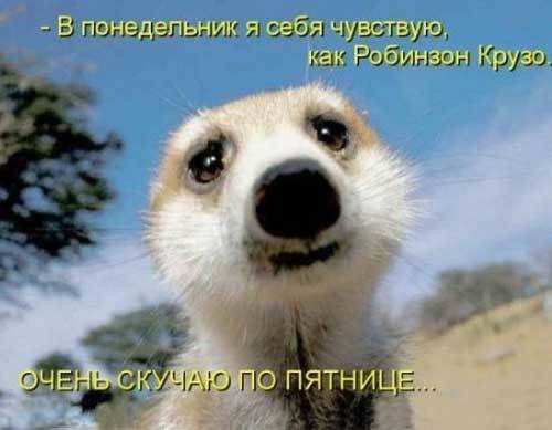 355114_1.jpg
