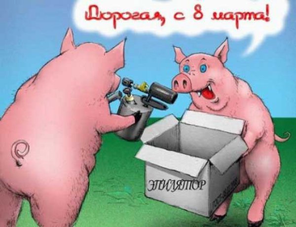 35aca8ab6265e7638af8f4c67c93fc7d.jpg