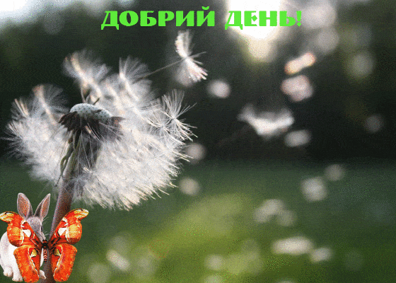 3659.gif