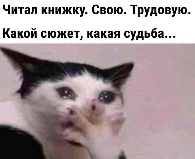 368179553_727080009185457_4779691199806062487_n.jpg