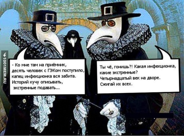 3699241.jpg