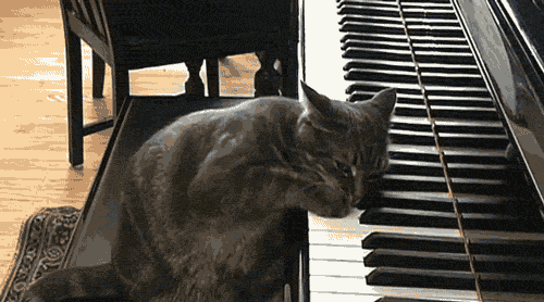 36EA2D1A-F7B0-47B3-80B9-3C5E04185BE6.gif