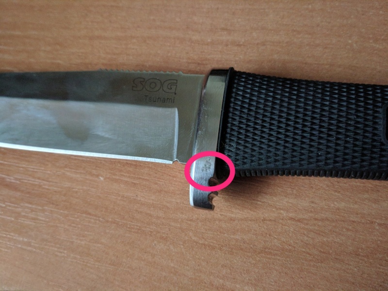 37236553.jpg