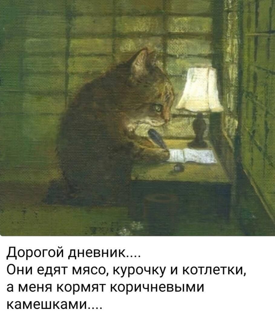 373c6d8b-7bb0-4e6b-97ab-936a9a01b44d.jpg