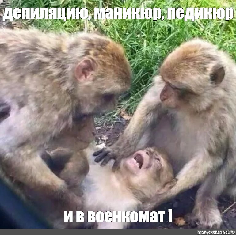 374b01c7fc5f983890c6bb824323efcc.jpg