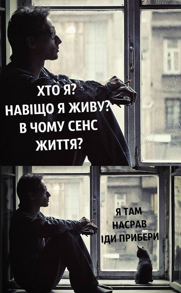 3783815620190543981393614160876870830653440n.jpg