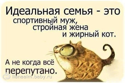 38761343.344375293.jpeg