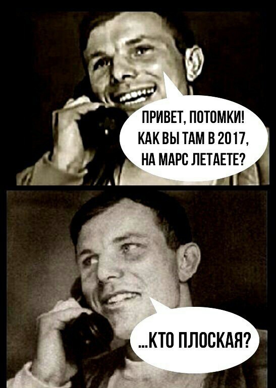 3962050.jpeg