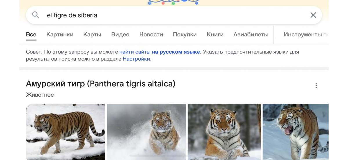 39FA7AF5-6F30-4EBE-A2BC-1EF805D8E749.png