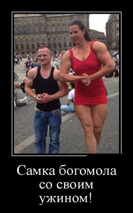 3a2cf9bf184b8906315c0744fc2b6158.jpg