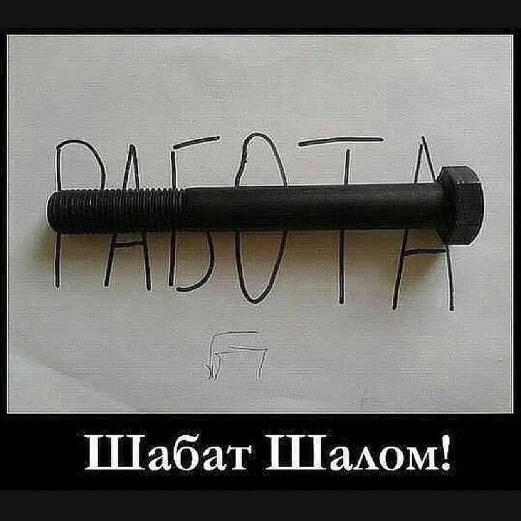 3cfc697f-c7e9-418d-aab5-386de73932cf.jpg