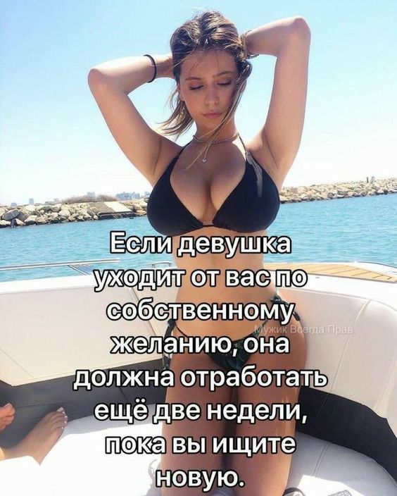 3dac1ef01388faae2b799846e39a8f16.jpg