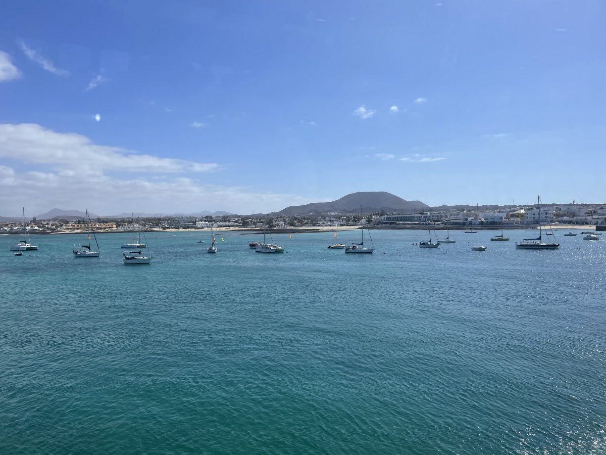 3F6019BC-D398-4A2E-A21A-A0A9C237D619.jpeg