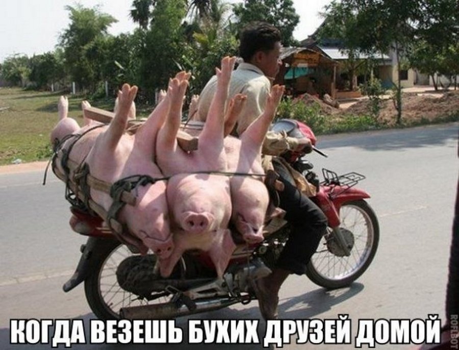 41244C65-9C32-4E7B-9D9A-0D8A0C177BC3.jpeg