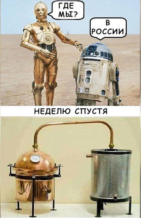 4176816.jpeg