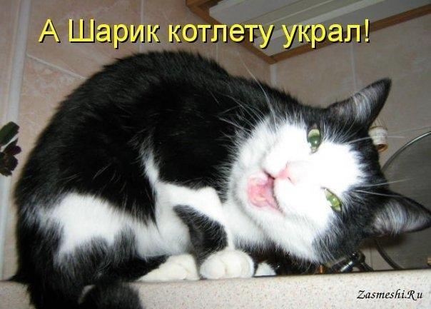 4193-Podhalim.jpg