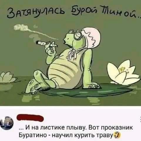 434737696_1633703534108036_1274726825373012060_n.jpg