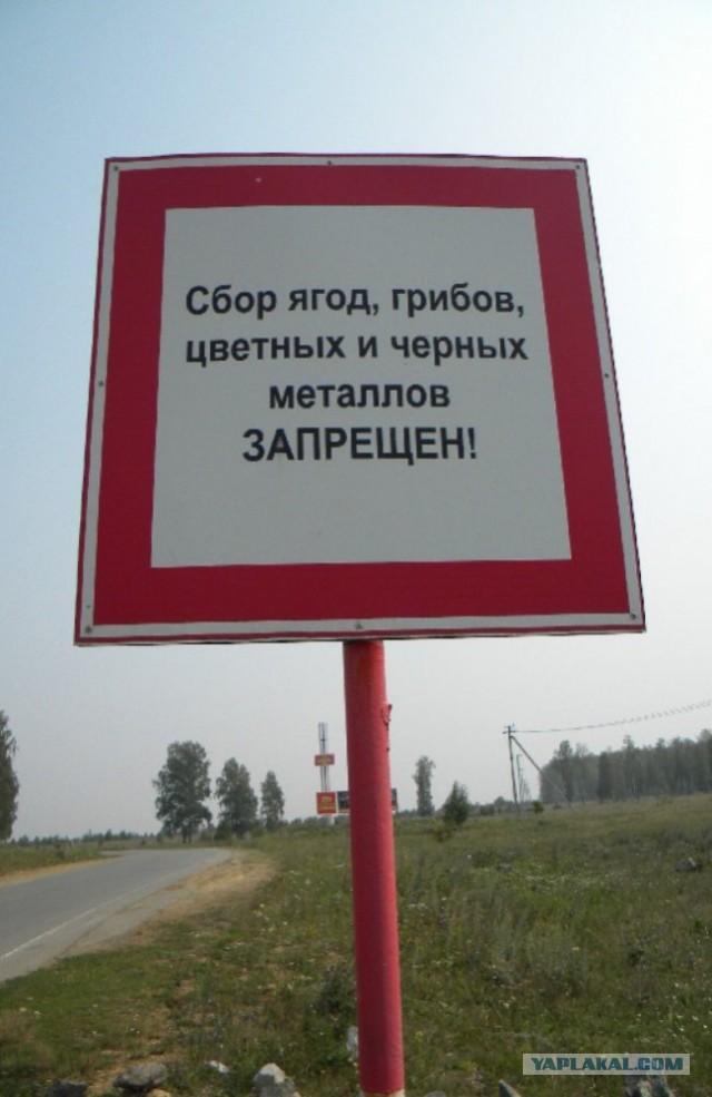 4347565.jpg