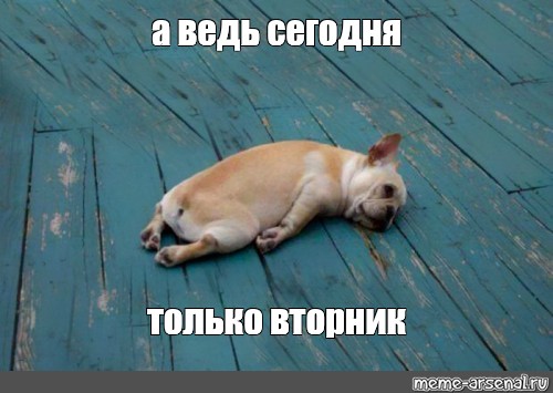 4412655887ed87aa6f14272356f4ee15.jpg
