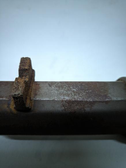 441586.jpg