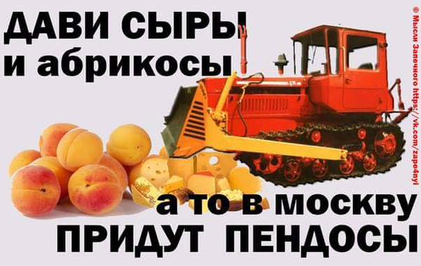 4485266_original.jpg