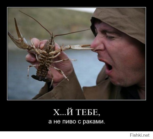 451bcffcf6cb6f295034799fccbbbf6c.jpg